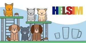 Read more about the article Helsim apresenta linha com tema Pet em Feira de Adoção
