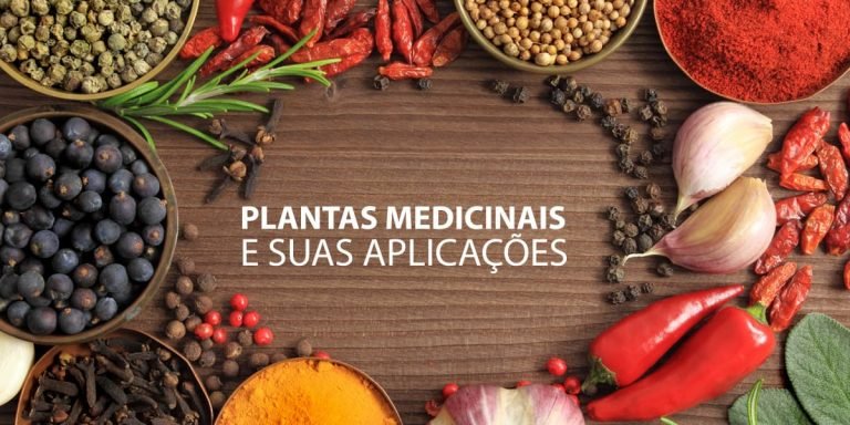 Read more about the article Plantas Medicinais e suas aplicações